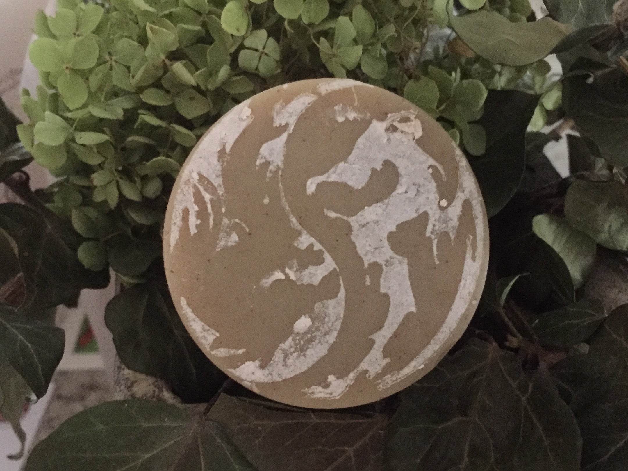 Haarseife Bio (fettiges Haar und Schuppen)