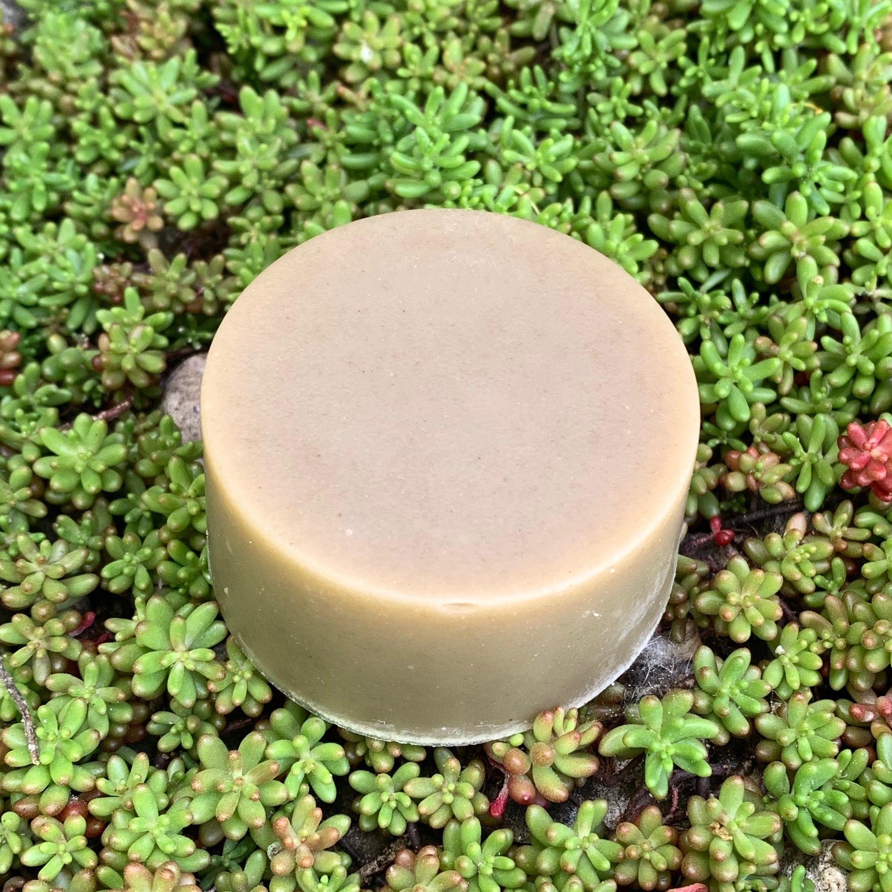 Haarseife Bio (PUR, allergenfrei)