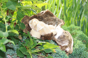 Gesichtsseife Bio "normale, fettige und reife Haut"